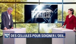 La thérapie cellulaire pour soigner l'oeil