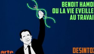 Benoit Hamon ou la vie éveillée au travail - DÉSINTOX - 07/12/2017