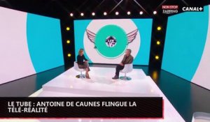 Le Tube : Antoine de Caunes flingue la télé-réalité "J'abomine ça !" (vidéo)