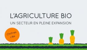 L'agriculture bio, un secteur en plein expansion en France !