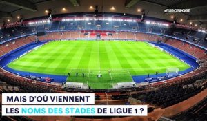 Louis-II, La Mosson, le Parc des Princes... D'où viennent les noms des stades ?