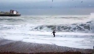 Pour sauver son chien, cette femme risque sa vie en sautant dans une mer déchaînée