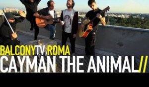 CAYMAN THE ANIMAL - CAYMAN JR. (BalconyTV)