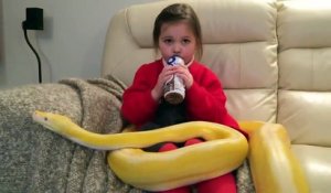 Cette fille regarde tranquillement la télé avec un énorme serpent