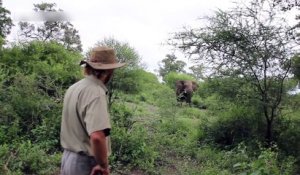 Un homme contre un éléphant qui le charge !