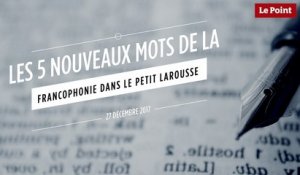 Les 5 nouveaux mots de la francophonie dans le Petit Larousse