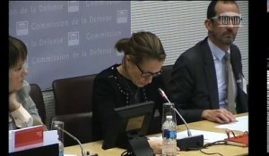 Commission de la Défense : Mme Amélie Verdier, dir. du budget - Mercredi 25 janvier 2017