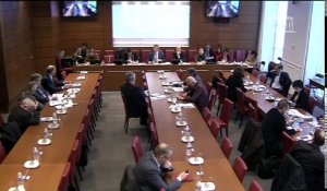 Commission des finances : M. Antoine Dulin (CESE) sur l'évitement fiscal ; M. Raoul Briet, pdt de la 1ère ch. Cour des comptes, sur la fiscalité directe locale - Mercredi 1 février 2017