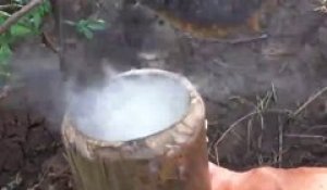 Leur technique pour recolter le miel sur cette ruche sauvage est incroyable