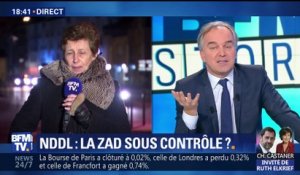 Notre-Dame-des-Landes: des gendarmes contrôlent et sécurisent la ZAD