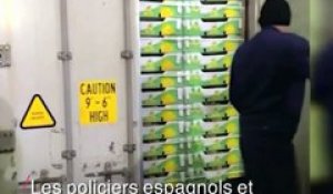 745 kilos de cocaïne cachés dans des ananas