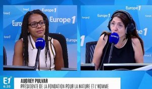 Audrey Pulvar : "Nicolas Hulot est très seul dans ce gouvernement"