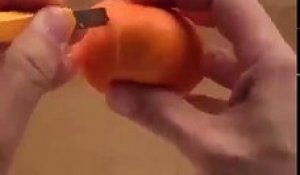 Ce qu'il va faire avec sa mandarine est INCROYABLE... Quel artiste
