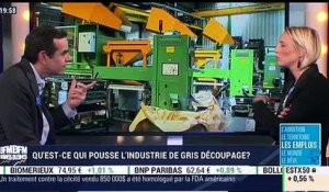 Fabuleuse French Fab  : Gris Découpage et l'emploi (Céline Gris)
