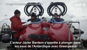 L'acteur Javier Bardem explore les fonds marins de l'Antarctique