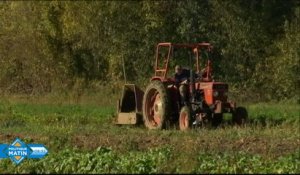 La loi alimentation présentée en conseil des ministres