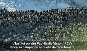 L'Institut polaire français recrute pour l'Antarctique