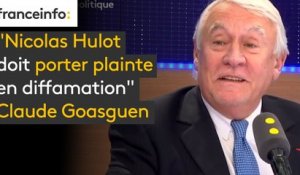 "Nicolas Hulot doit porter plainte en diffamation", selon le député LR Claude Goasguen