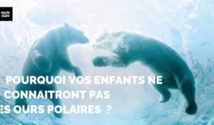 Pourquoi vos enfants ne connaitront pas les ours polaires ?