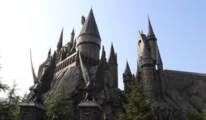 5 anecdotes sur la saga Harry Potter