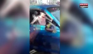 Un condcteur drogué tente d'échapper à la police et crashe sa Mustang (vidéo)