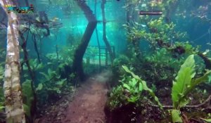 Randonnée sous-marine (Brésil)