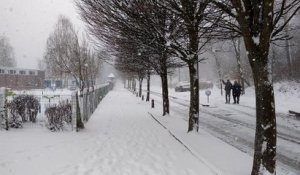 Chutes de neige à Waremme