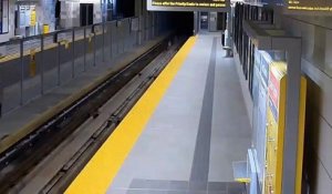 Quand deux Pumas s’incrustent sur les rails du métro