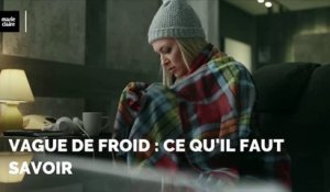 Vague de froid : Ce qu'il faut savoir