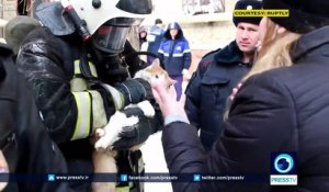 Massage cardiaque d'un chat sauvé par un pompier en Russie !