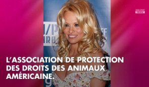 Pamela Anderson : Pour lutter contre la violence en prison, elle a la solution