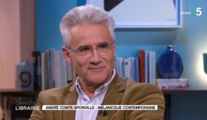 « L'inconsolable et autres impromptus » : la mélancolie contemporaine par André Comte-Sponville