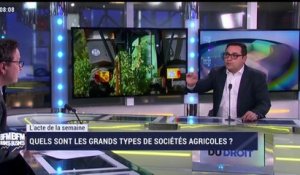 L'acte de la semaine: Gros plan sur les sociétés agricoles - 03/03