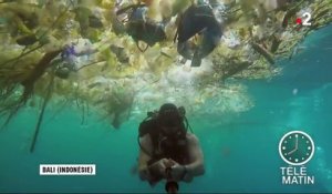 Indonésie : un océan de plastique filmé au large de Bali