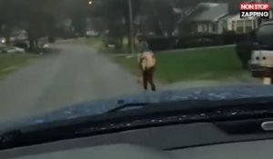 Un père punit son fils en le faisant courir pour aller à l'école (vidéo)