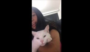 Un Chat Chante Avec Son Maitre Si T Es Fier D Etre Un Chat Miaule Un Coup Miaouuu Sur Orange Videos