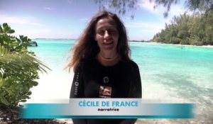Blue - Reportage _ Cécile de France explique le film [720p]