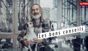 Chiens : les bons conseils de Thierry Bedossa