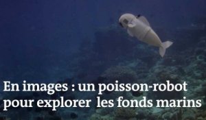 Le MIT a conçu ce nouveau poisson-robot pour explorer les fonds marins