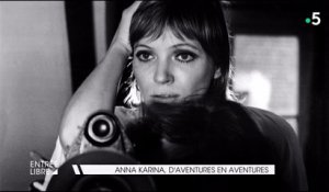 Anna Karina, d'aventures en aventures