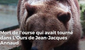 L'ourse de L'ours de Jean-Jacques Annaud est morte