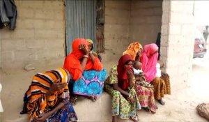 Nigeria: attaque kamikaze dans un village de l'Etat de Borno