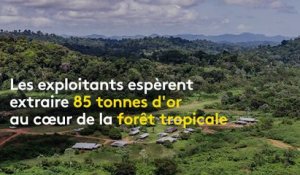 Montagne d'Or - un projet de mine controversé en Guyane