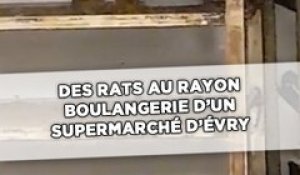 Un client filme des rats au rayon boulangerie d’un supermarché d'Evry