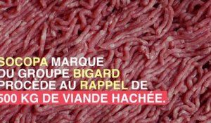 Rappel de lot de viande hachée contaminée par la bactérie E.coli