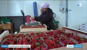 Fraises : s'engager pour une consommation responsable