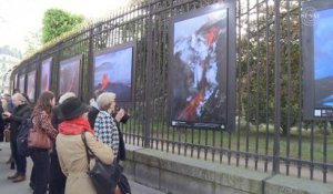 [Grilles du Jardin du Luxembourg] Exposition "Origines"