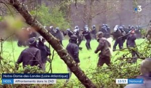 Notre-Dame-des-Landes : affrontements dans la ZAD