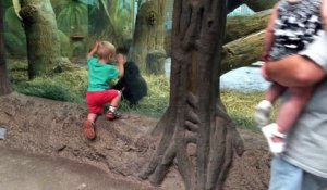 Cet enfant joue à cache-cache avec un bébé gorille et c'est juste adorable