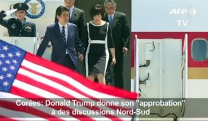 Corées: Trump donne son "approbation" à des discussions Nord-Sud